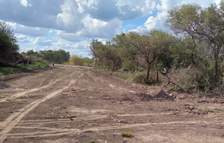 Deforestación y destrozos por parte de la Municipalidad de Merlo.