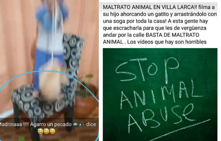 Actos de crueldad hacia un gatito indefenso en Villa Larca
