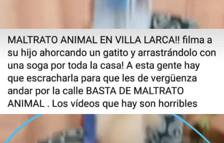Rescate exitoso del gatito maltratado en Villa Larca.