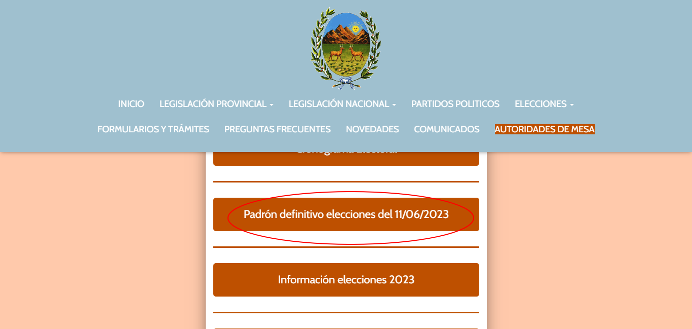 screenshot-electoral.justiciasanluis.gov.ar-2023.06.09-16_15_24.png