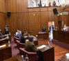Ley de Inclusión Social: El Senado de San Luis otorgó sanción definitiva