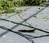 Merlo: Por tercera vez, un camión engancha cables del alumbrado público y rompe todo. Huye como si nada.