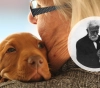 Día del Animal en Argentina ¿Por qué se celebra el 29 de abril?