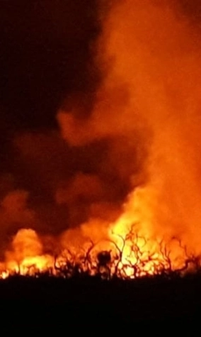Carpintería: El incendio está controlado en etapa de guardia de cenizas.