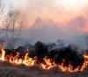 Las condiciones meteorológicas actuales favorecen la propagación de cualquier foco de incendio.