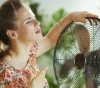 Ola de calor: La temperatura alcanza los 40 grados. RECOMENDACIONES.