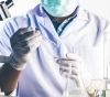 Virus Zombie: Científicos "reviven" un virus de casi 50 mil años y advierten sobre posibles nuevos microbios mortales.