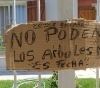 Protestas en el Barrio 272 de la Villa de Merlo por poda de árboles en verano y falta de servicios básicos.