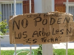 Protestas en el Barrio 272 de la Villa de Merlo por poda de árboles en verano y falta de servicios básicos.