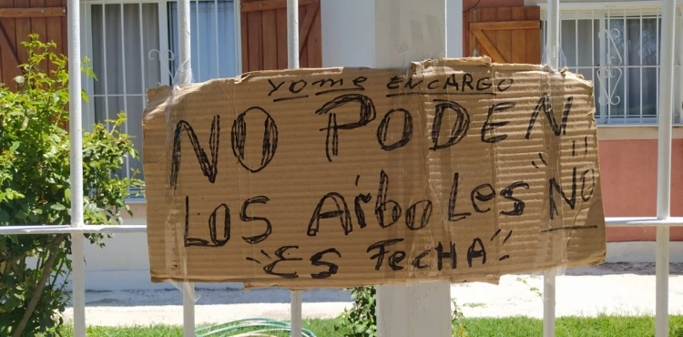 Protestas en el Barrio 272 de la Villa de Merlo por poda de árboles en verano y falta de servicios básicos.