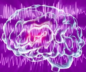 El Día Internacional de la Epilepsia: Concientización y Lucha por una Mejor Calidad de Vida.