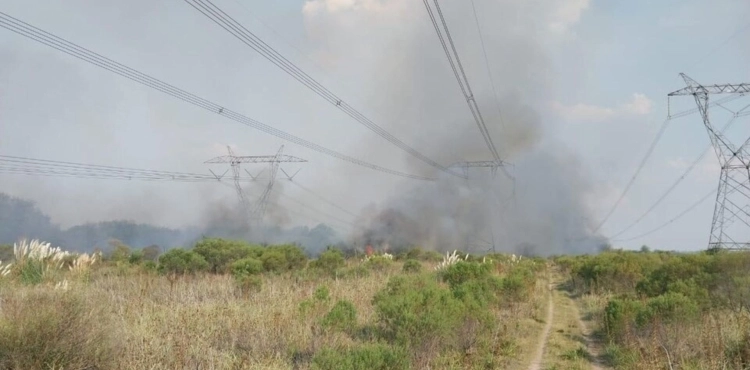 Un incendio de pastizales provoca corte de energía eléctrica masivo en Argentina, dejando varias provincias sin luz.
