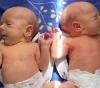 Mamá de gemelos confunde a sus bebés y debe ir a la policía para identificarlos.