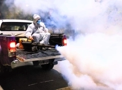 Alerta en San Luis: Confirmados 5 nuevos casos de dengue.