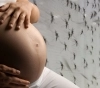 ¿Qué es la transmisión materna del dengue y qué consecuencias tiene para el bebé?