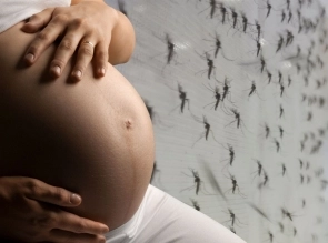 ¿Qué es la transmisión materna del dengue y qué consecuencias tiene para el bebé?