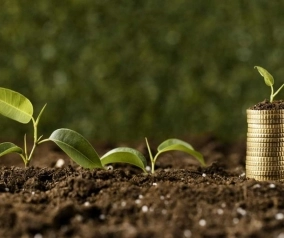 UNLC lanza Diplomatura Universitaria en Bioeconomía, Innovación Productiva y Desarrollo.
